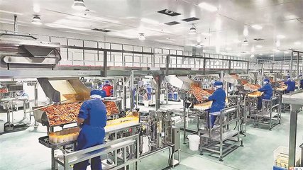 梅斯勒食品集團生產車間 工人們緊張忙碌的食品生產現場