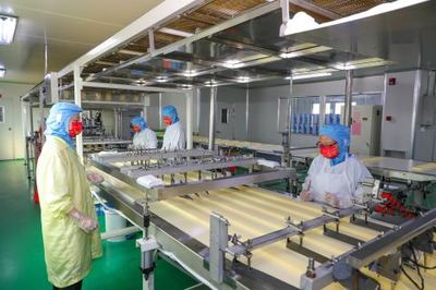 鉚足干勁忙生產，產業發展勢頭足——透視現代食品生產的蓬勃氣象